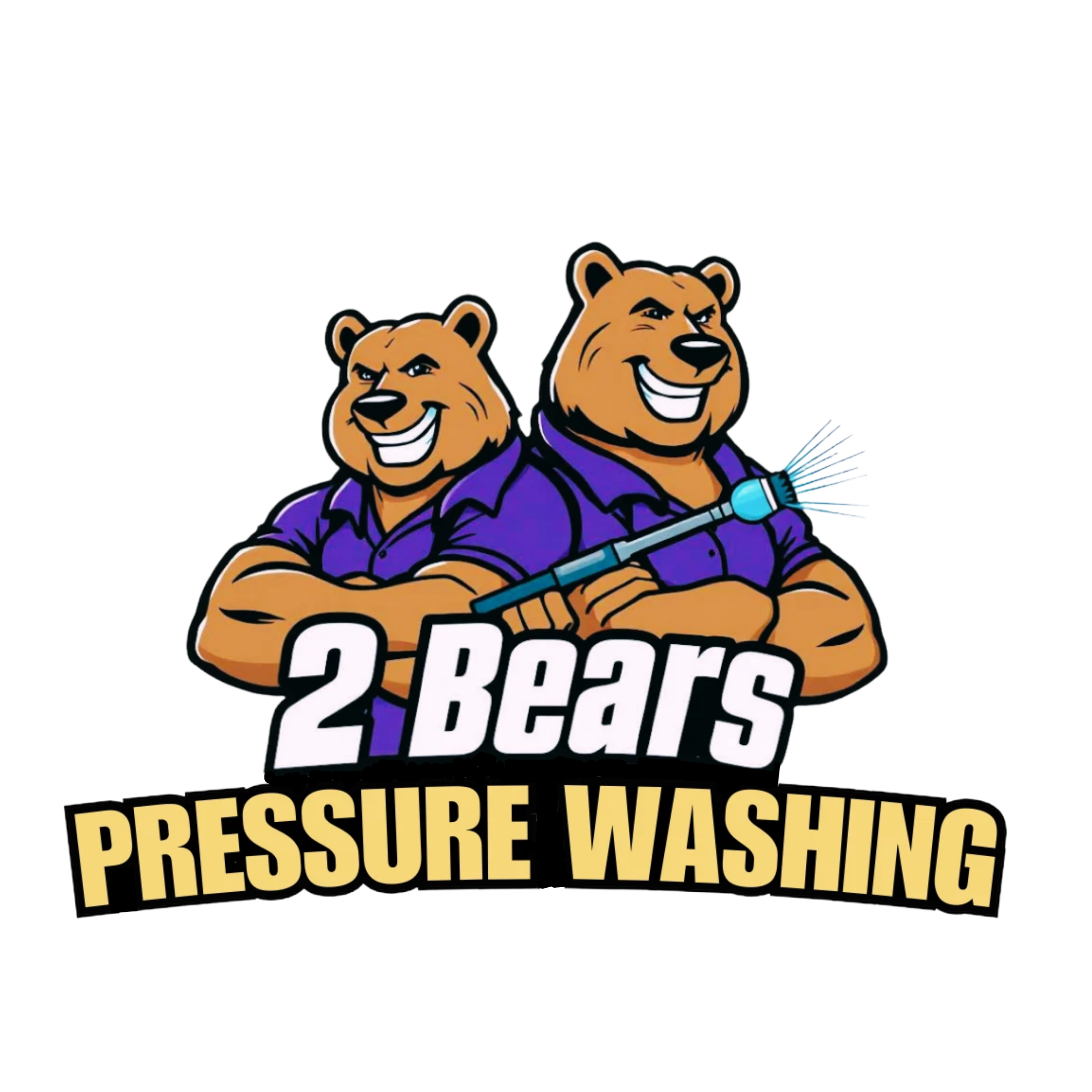 2 Bears Pressure Washing logo