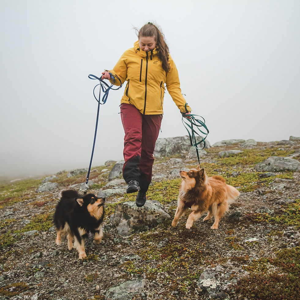 Pikkukuva: Treeniliina