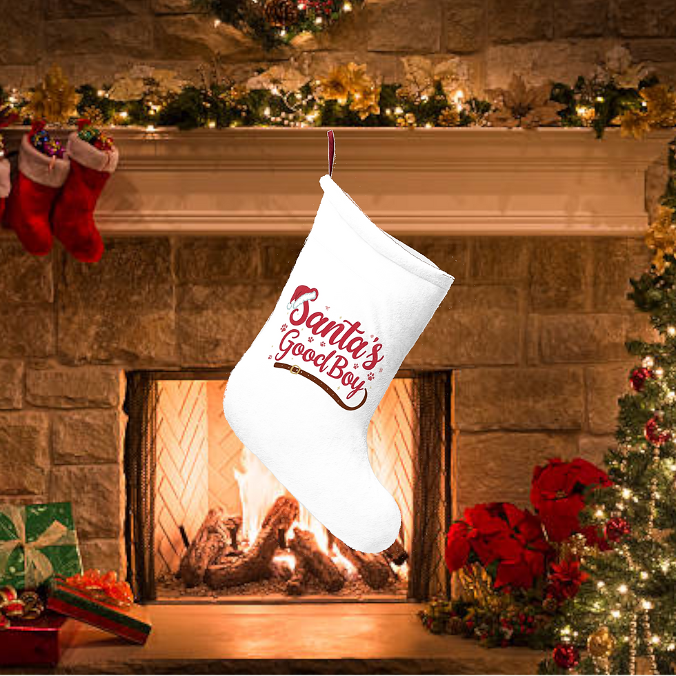 Santa’s Good Boy Stocking