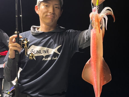 8月22日夜イカ便