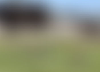 Kick Off To Homecoming Week