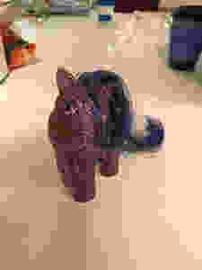 My Little Pony