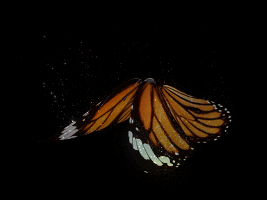 7cC.gif