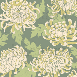 Japanese chrysanthemum