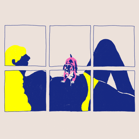 giphy (18).gif