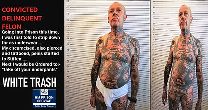 CONVICTED DELINQUENT FELON 1&2.jpg