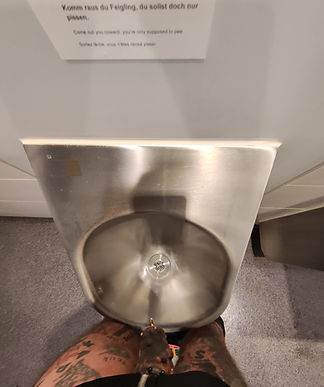 Komm Raus Du Feigling October 11 2023 1935.jpg