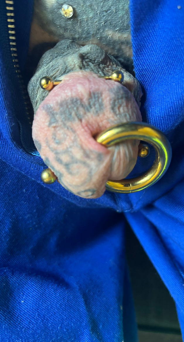 HMP pierced tattooed cock 1.jpg