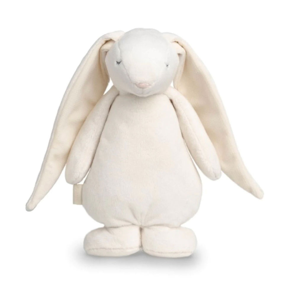 Thumbnail: Moonie Bunny Bundle  - July Pre Order