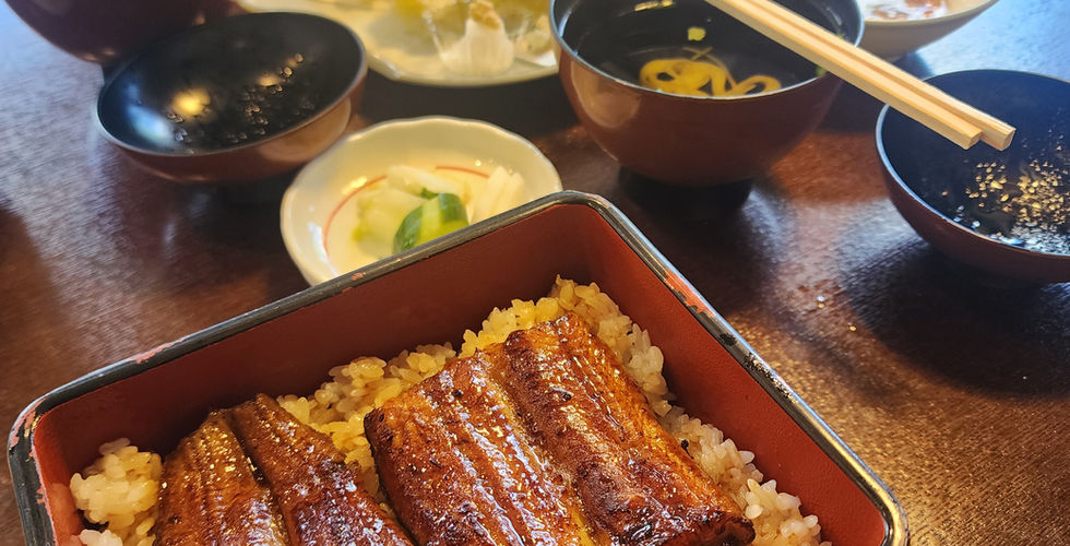 Japanese Unagi