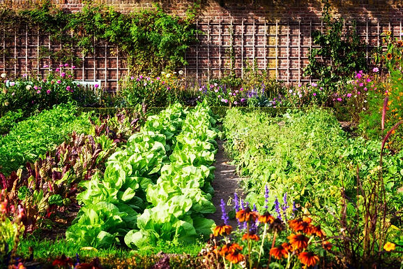 Vegetable Gardening in Lex-Ham with Master Gardener Karen Randall