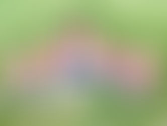 why seminary for me part two