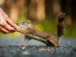 True Happiness is Happiness Shared... with Nature!