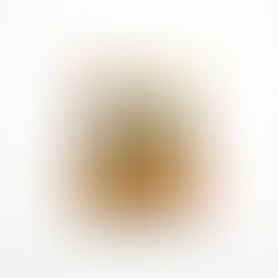  『ゆるFIRE』（かんき出版）