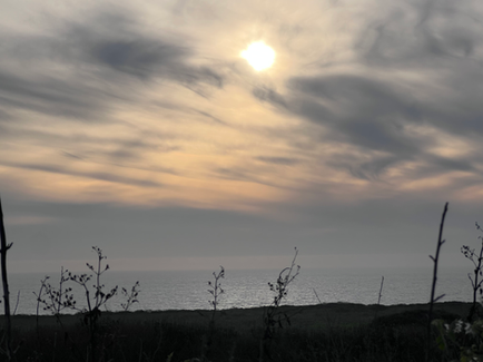 Wilder Coast
at Dusk