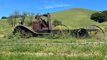 Antique Car Hillside