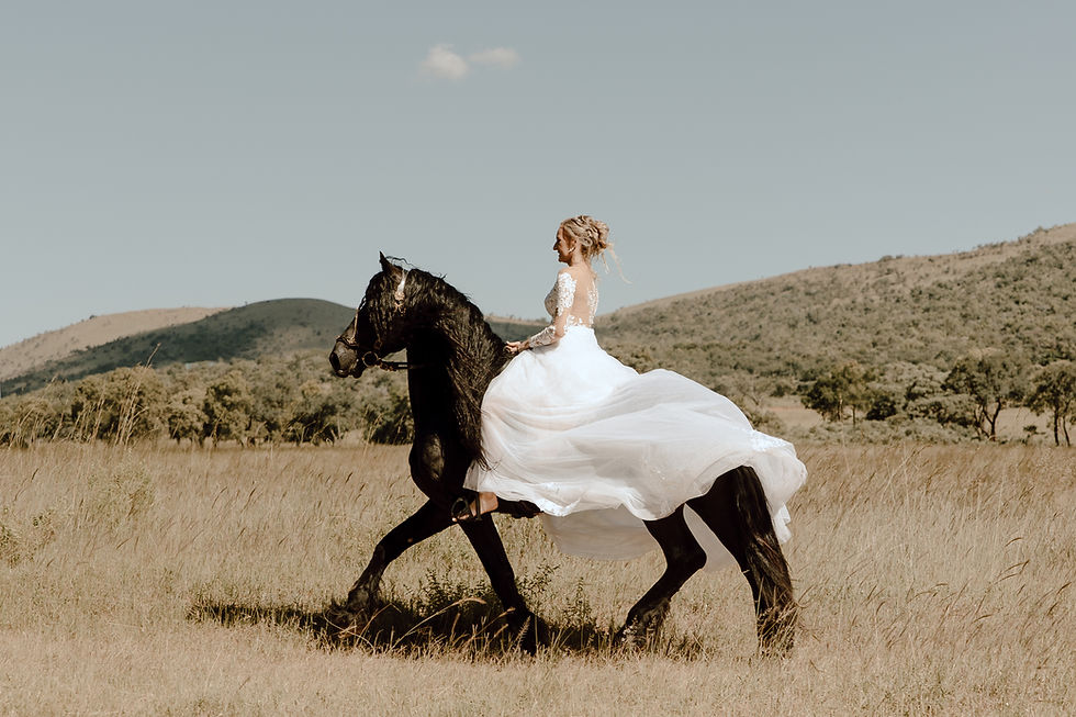 Bride on horse in wedding dress