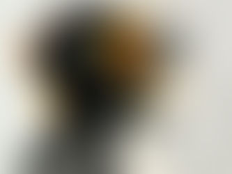 Vínculo con sentido