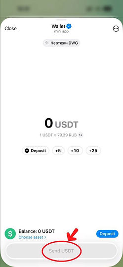 Clicking the Send USDT button