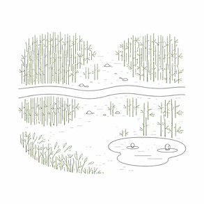 Camino de bambú que representa el proceso psicológico y su recorrido