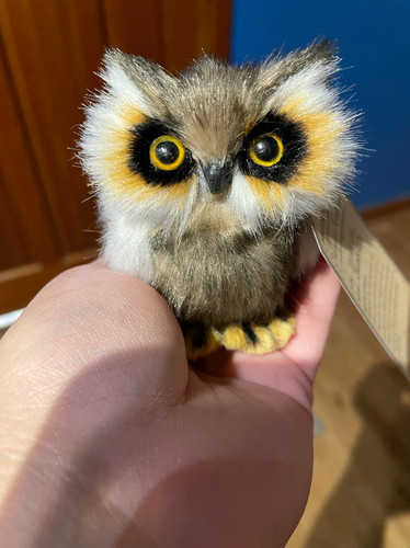 Baby Owl Magnetic shoulder pet | maddragonstudio