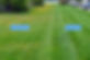Weed-Control.jpg
