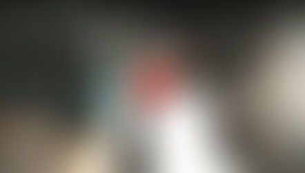 Punn Da Pusha X (Bllrrdd)