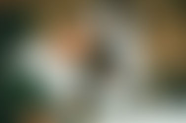 Did You Know Music Artist Warren G Never Received a Royalty Check From Death Row Records?