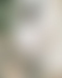 38 Hauncho X "D.O.A"