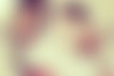 The Tragic Story of Kevin Miller — How Master P’s Brother Was Executed and Left on the Interstate by His Friends