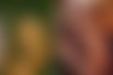 Shabba Ranks Chased Marlon Wayans Around the Set of In Living Color For Playing With Him With Mr Ugly Man! LOL