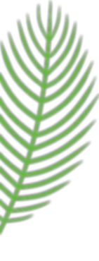 leaves_1_11.png