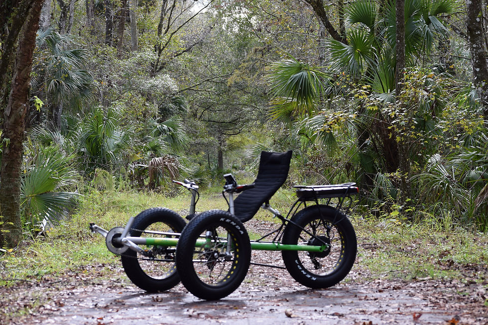 Thumbnail: E-Terrain 20 inch wheel