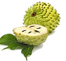 swift soursop