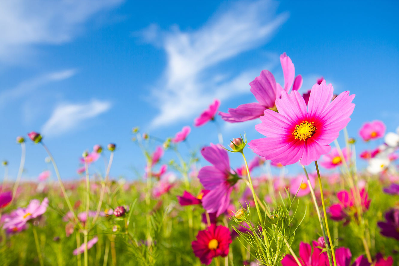AdobeStock_59041148.jpg