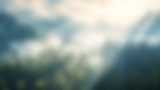 lukasbd_close_shot_of_vast_mountain_forest_mist_god_rays_ligh_21281f4e-4d3c-448e-86e1-94ce