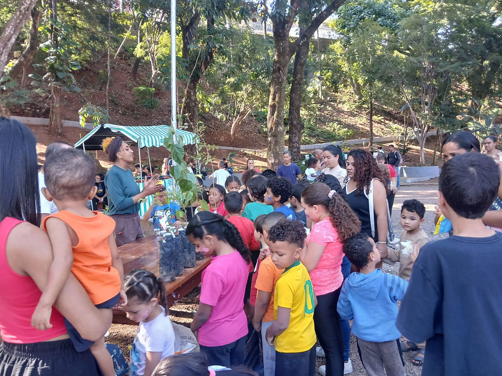 Férias no Bosque