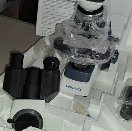 WhatsApp Image 2023-07-01 at 09.33.59.jpeg