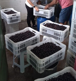 178211456_364111938313163_5682817478653785064_n_edited