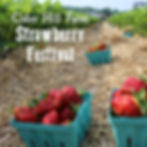 Strawberry Festival - DATE CHANGE - June 18 & 19