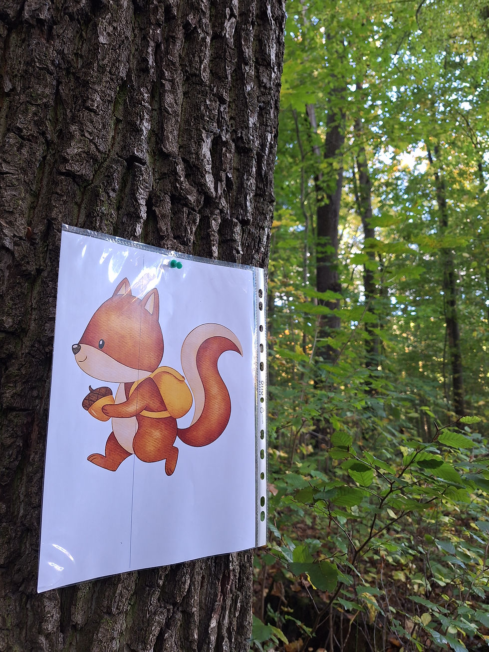 HerbstCAMP 2025