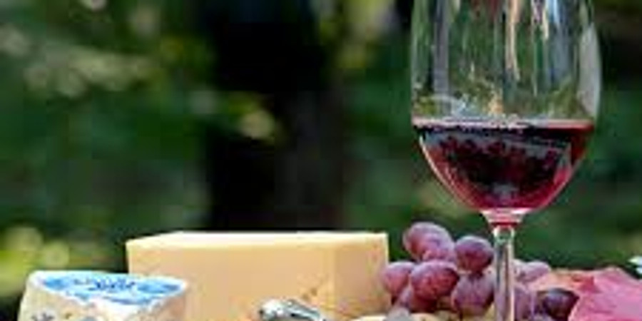 Wine and Food Harmony