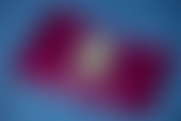 8 Interesting Facts About Aston Villa Football Club