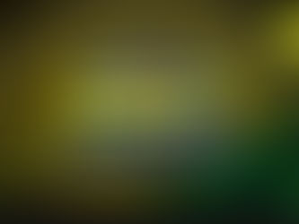 The 1994 FIFA World Cup: Brazil’s Road Back to Glory