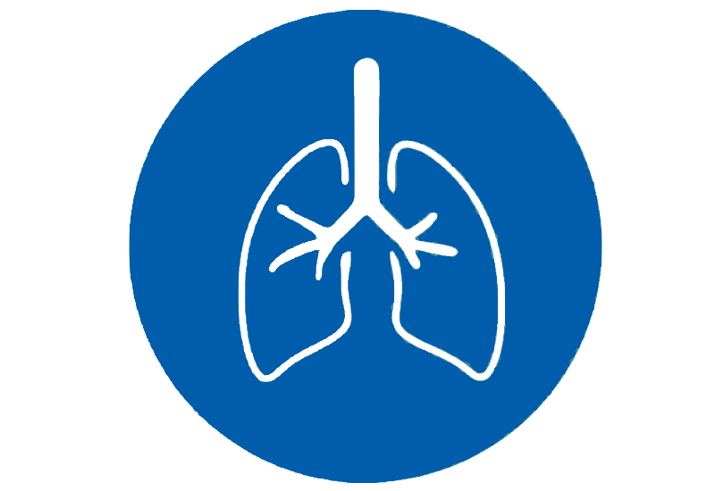1-lungs.gif