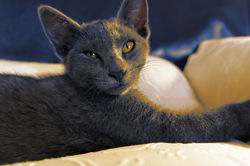 DSC02413_DxO