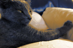 DSC02422_DxO