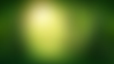 The 13 Essential Features of Every Fantasy Forest and How to Make Yours Magical