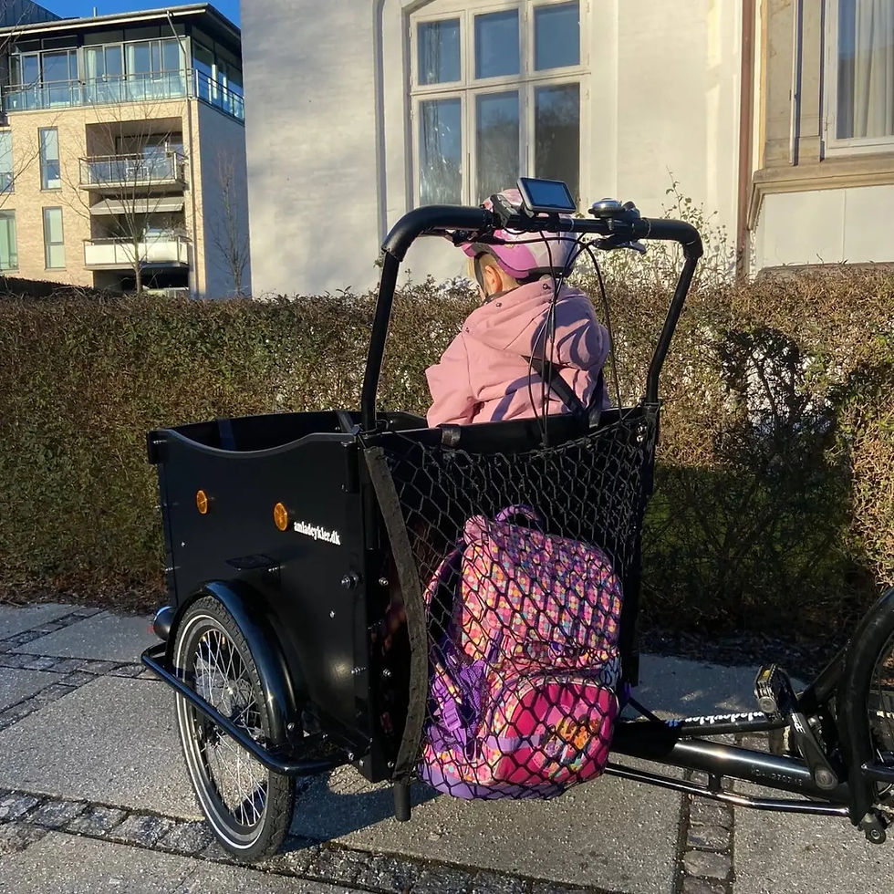 Miniaturbild: Cargobike Gepäcknetz Familybike Familybike.ch