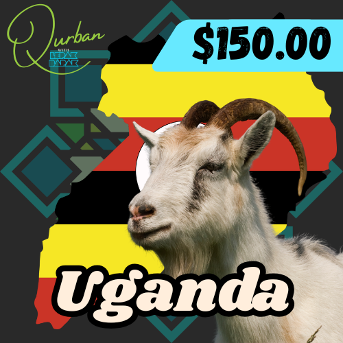 Goat - Uganda
